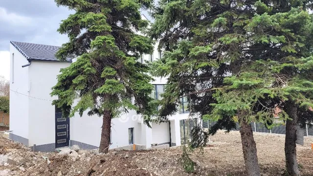 Eladó ház Szentendre, Pismány 250 nm