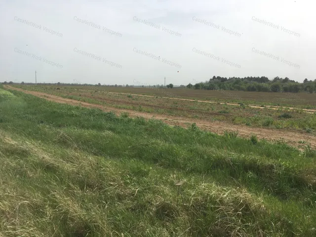Eladó mezőgazdasági ingatlan Veszprém 5718 nm