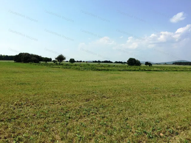 Eladó mezőgazdasági ingatlan Veszprém 4300 nm