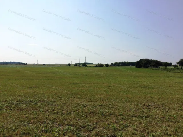 Eladó mezőgazdasági ingatlan Veszprém 4300 nm