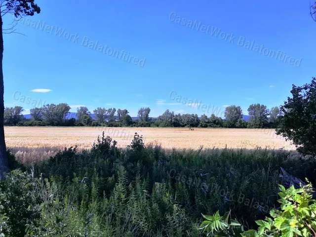 Eladó mezőgazdasági ingatlan Veszprém 4408 nm