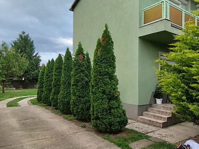 Eladó ház Gyula, Szentpálfalva 160 nm