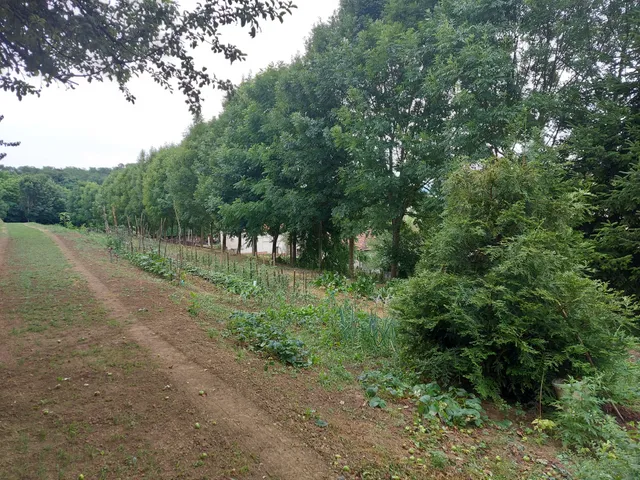 Eladó mezőgazdasági ingatlan Zalaegerszeg, Botfa 10110 nm