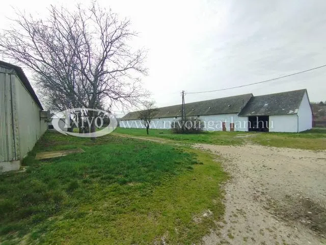 Eladó mezőgazdasági ingatlan Veszprém 4570 nm