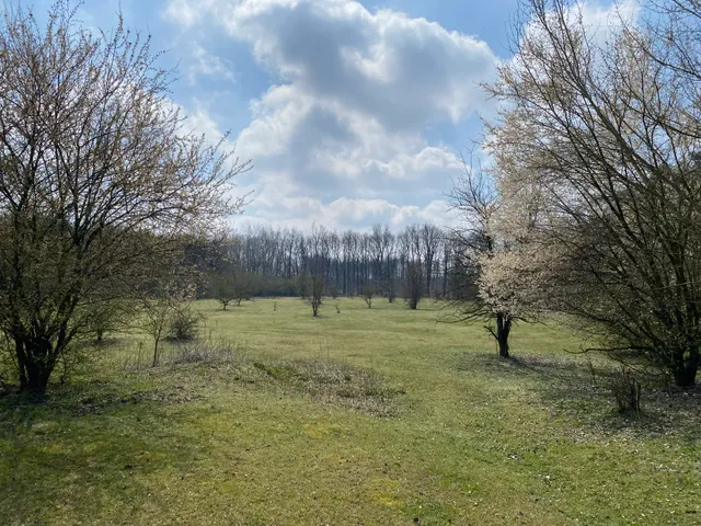 Eladó telek Debrecen 230000 nm