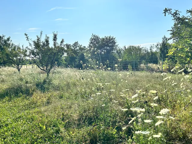 Szombathely eladó külterületi telek 1607 m² telekterületű: 8,9 millió Ft