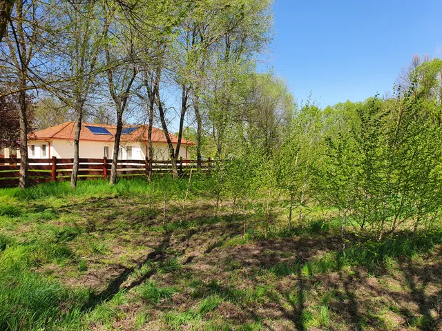 Eladó mezőgazdasági ingatlan Debrecen 116 nm