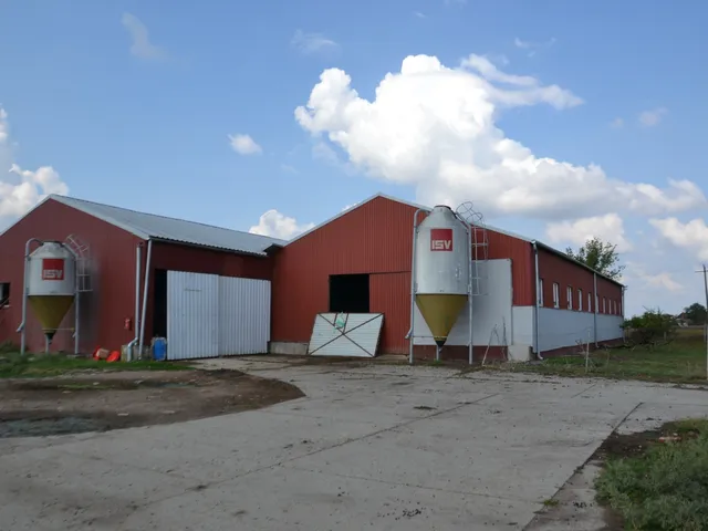 Eladó mezőgazdasági ingatlan Kisújszállás, Pusztabánréve 4000 nm