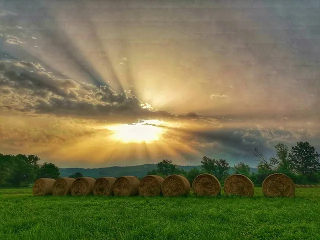 Muraszemenye eladó külterületi telek 455000 m² telekterületű: 180 millió Ft