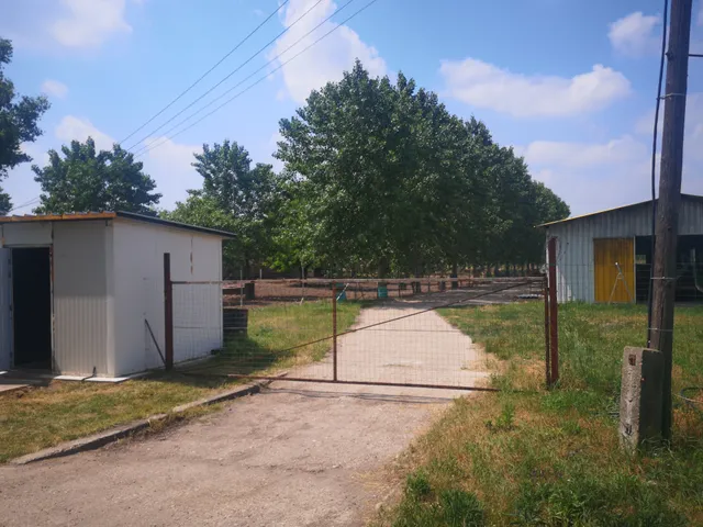 Eladó mezőgazdasági ingatlan Kecskemét, Borbás tanya 1490 nm