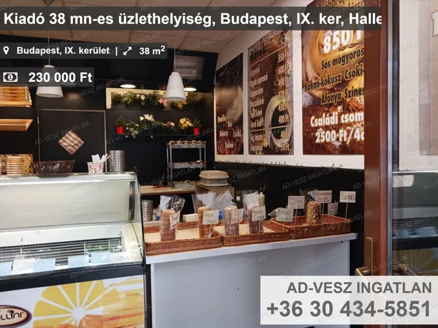 Kiadó kereskedelmi és ipari ingatlan Budapest IX. kerület 38 nm