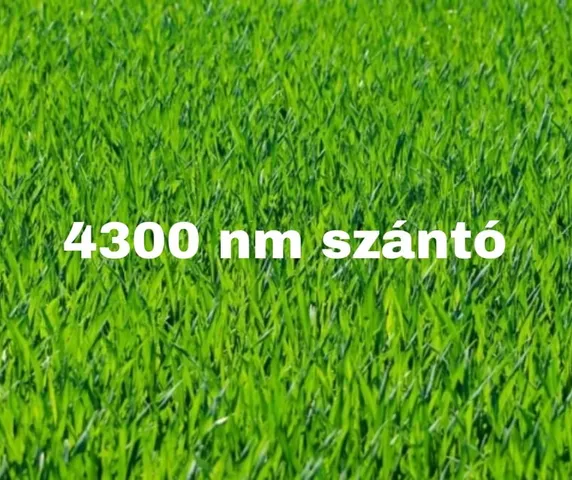 Eladó mezőgazdasági ingatlan Szatymaz 4300 nm
