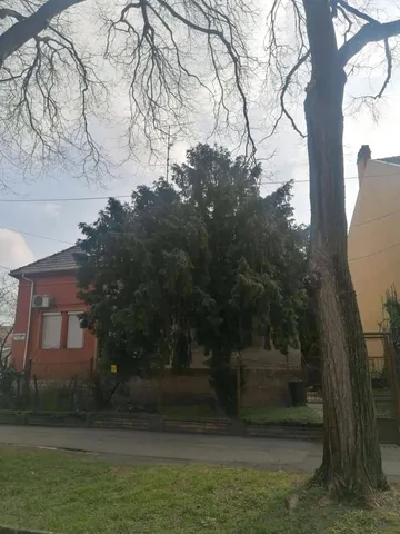 Eladó ház Szeged, Móraváros 70 nm