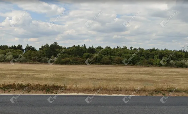 Eladó mezőgazdasági ingatlan Veszprém, Kádárta 4004 nm