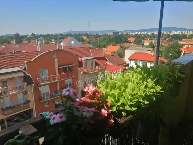 Eladó lakás Budapest XV. kerület, Rákospalota 50 nm