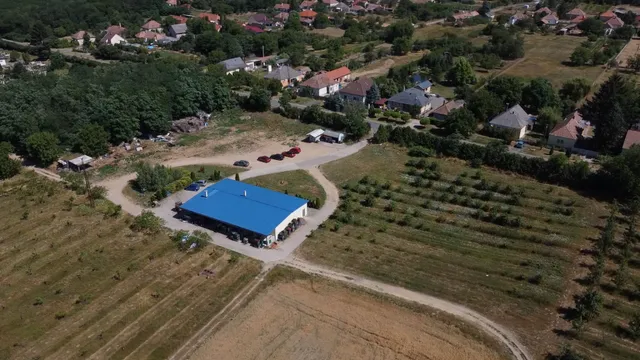 Eladó mezőgazdasági ingatlan Csikvánd 250000 nm