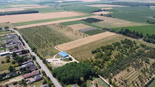 Eladó mezőgazdasági ingatlan Csikvánd 250000 nm