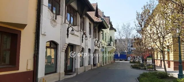 Eladó kereskedelmi és ipari ingatlan Gyula, belváros 785 nm
