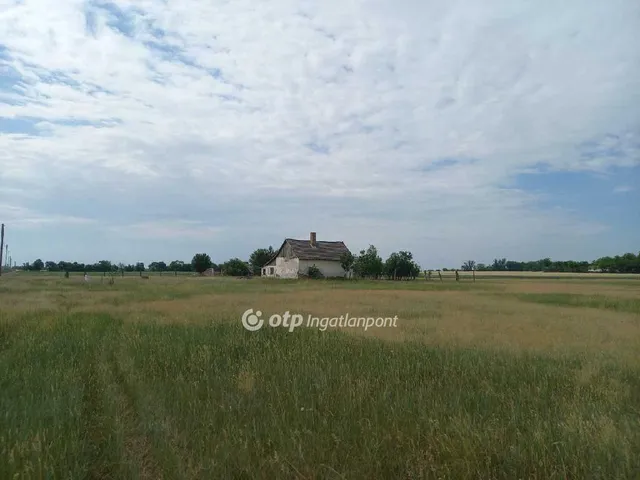 Eladó mezőgazdasági ingatlan Csongrád, Vasútállomás 159818 nm