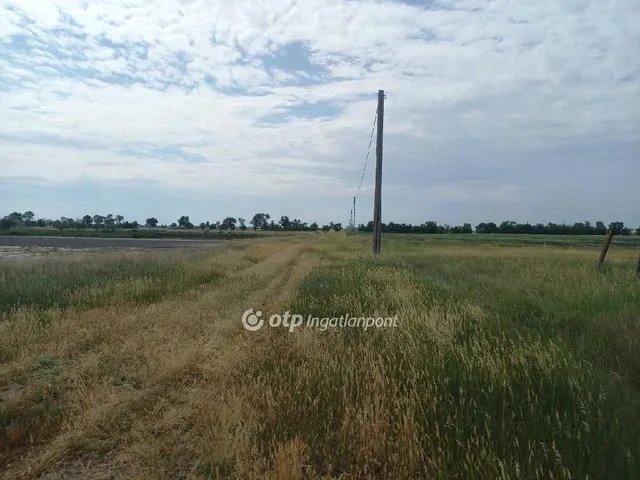 Eladó mezőgazdasági ingatlan Csongrád, Vasútállomás 159818 nm
