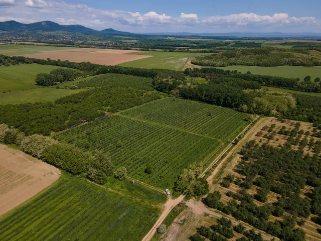 Eladó mezőgazdasági ingatlan Nógrád 28000 nm