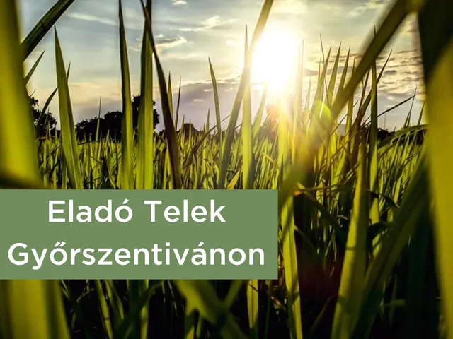 Győr eladó építési telek 1906 m² telekterületű: 27,9 millió Ft