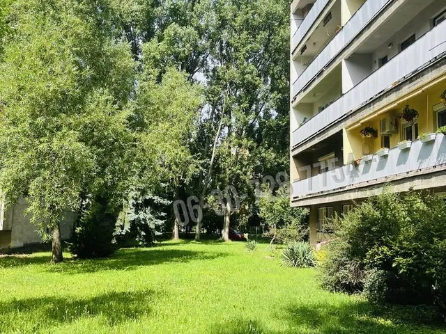 Eladó lakás Budapest XVI. kerület, Sashalom 51 nm