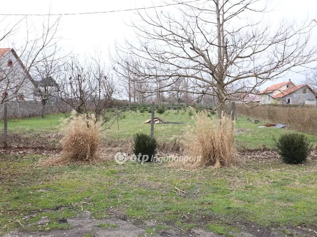 Dömsöd eladó építési telek 868 m² telekterületű: 6,9 millió Ft