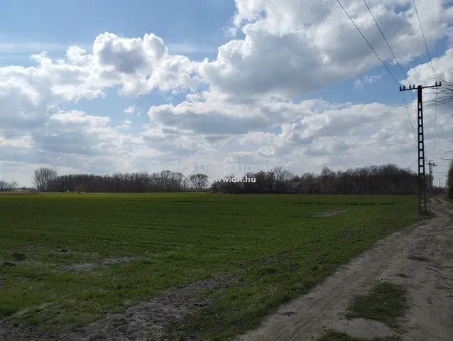 Eladó mezőgazdasági ingatlan Debrecen 55000 nm