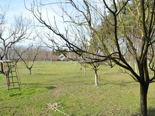 Eladó mezőgazdasági ingatlan Debrecen 300 nm