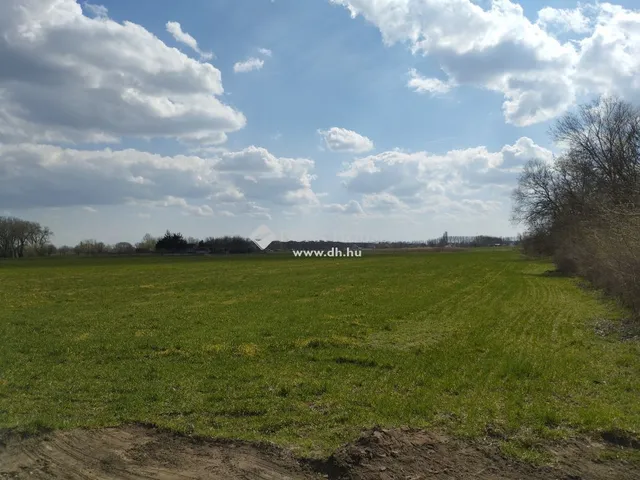Eladó mezőgazdasági ingatlan Debrecen, Lencztelep 55000 nm
