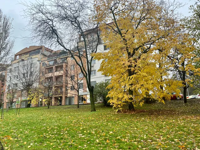 Eladó lakás Budapest IX. kerület, Belső Ferencváros 51 nm
