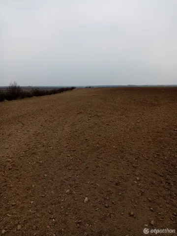 Eladó mezőgazdasági ingatlan Tiszaföldvár 36000 nm