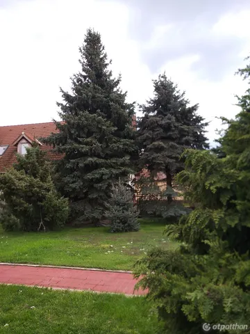 Eladó ház Kiskunlacháza, Dózsa György u. 245 160 nm