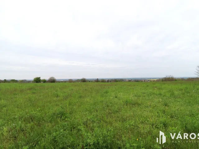 Eladó mezőgazdasági ingatlan Győr, Ménfőcsanak 2556 nm