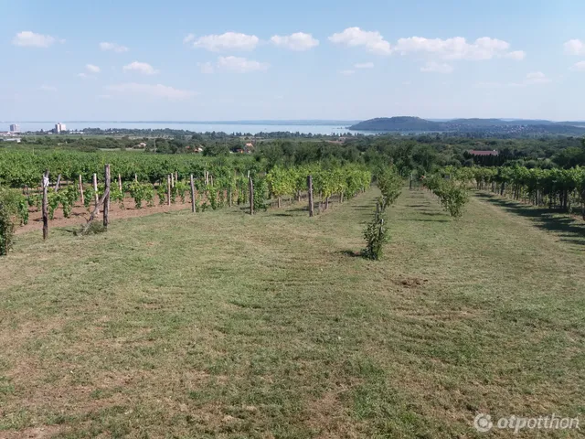 Eladó mezőgazdasági ingatlan Balatonfüred, Tamáshegy 3088 nm