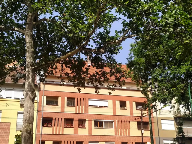 Eladó lakás Szeged, Felsőváros 69 nm