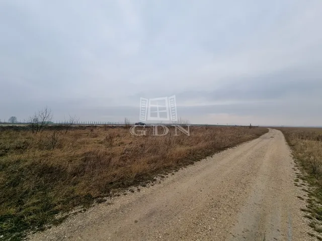 Eladó mezőgazdasági ingatlan Székesfehérvár, Feketehegy 210000 nm