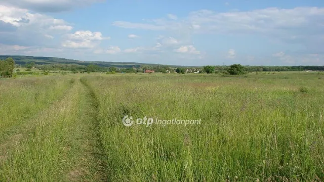 Eladó mezőgazdasági ingatlan Sopron 8662 nm